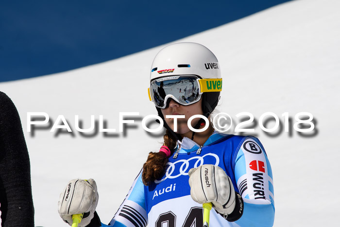 Ski Golf Masters 2018, Riesenslalom
