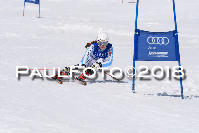 Ski Golf Masters 2018, Riesenslalom