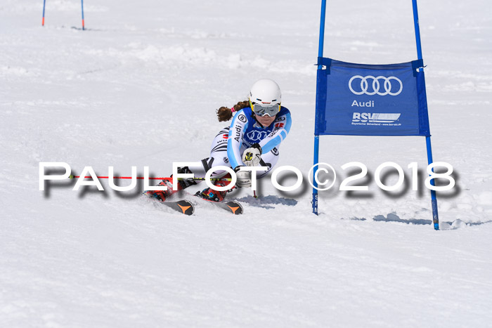 Ski Golf Masters 2018, Riesenslalom