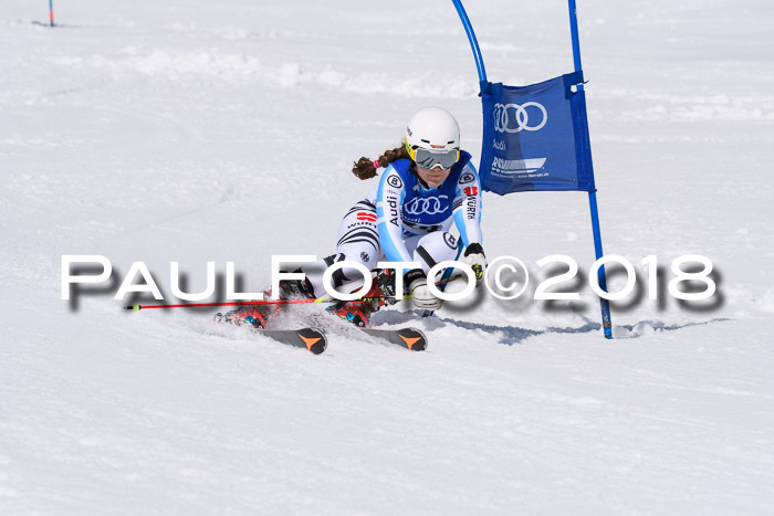 Ski Golf Masters 2018, Riesenslalom