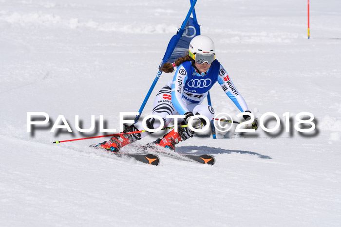 Ski Golf Masters 2018, Riesenslalom