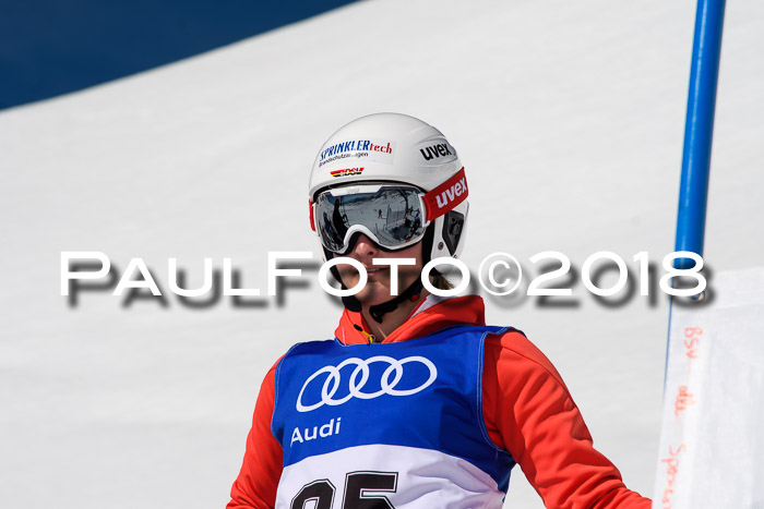 Ski Golf Masters 2018, Riesenslalom