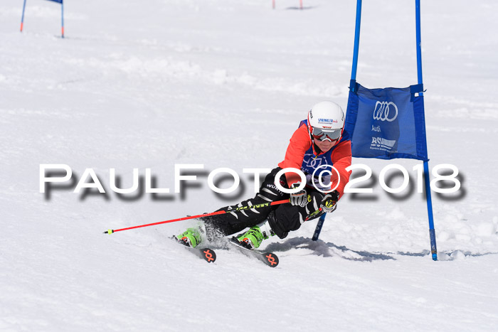 Ski Golf Masters 2018, Riesenslalom
