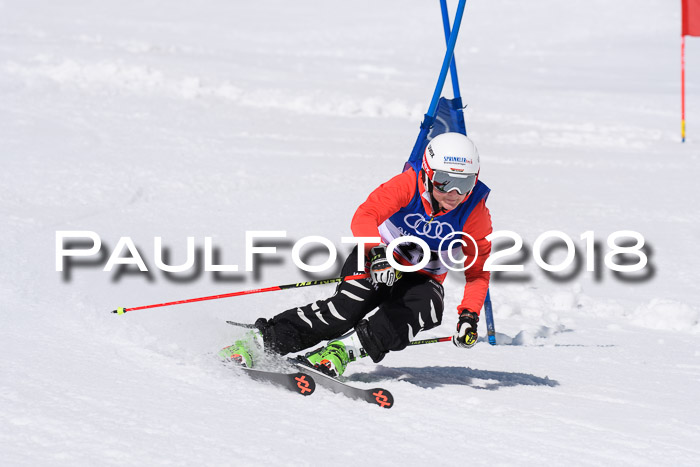 Ski Golf Masters 2018, Riesenslalom