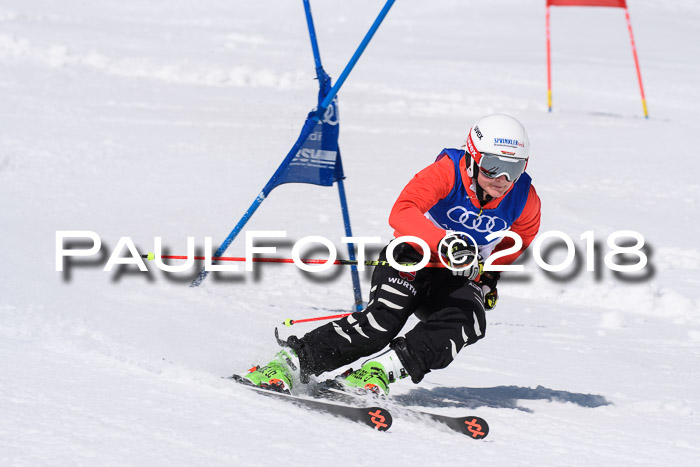 Ski Golf Masters 2018, Riesenslalom