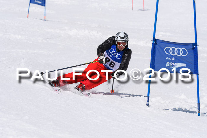 Ski Golf Masters 2018, Riesenslalom