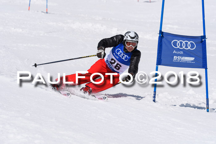 Ski Golf Masters 2018, Riesenslalom