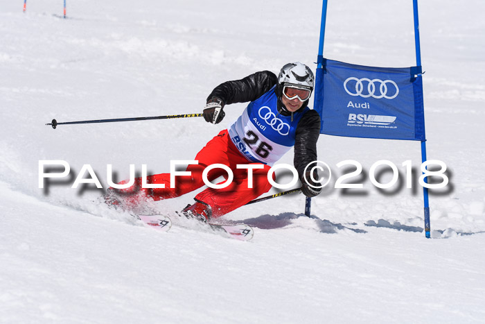Ski Golf Masters 2018, Riesenslalom