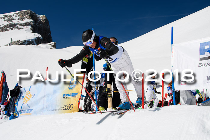 Ski Golf Masters 2018, Riesenslalom