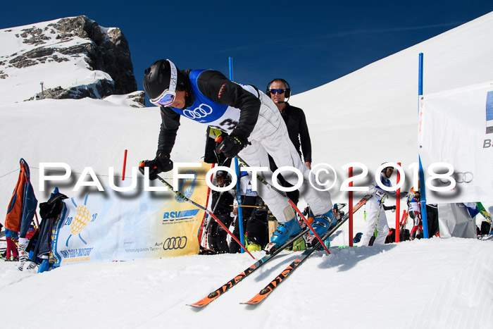 Ski Golf Masters 2018, Riesenslalom