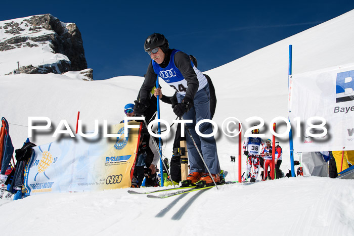 Ski Golf Masters 2018, Riesenslalom