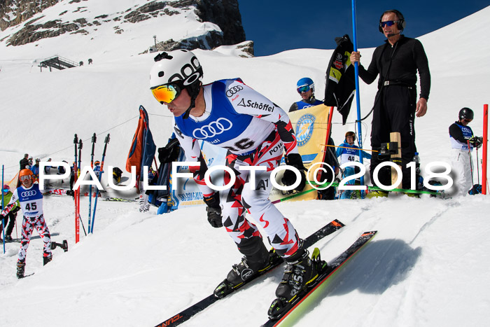 Ski Golf Masters 2018, Riesenslalom