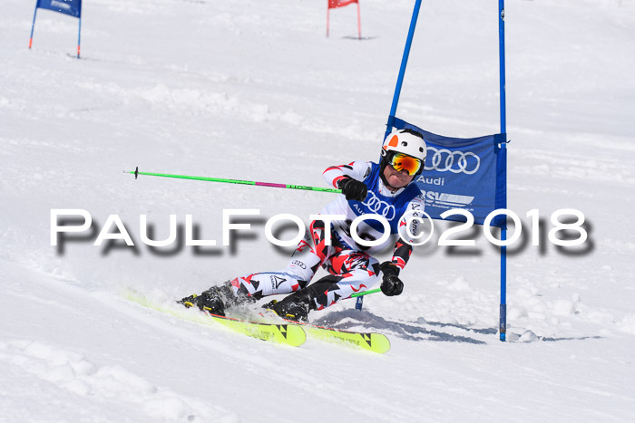 Ski Golf Masters 2018, Riesenslalom