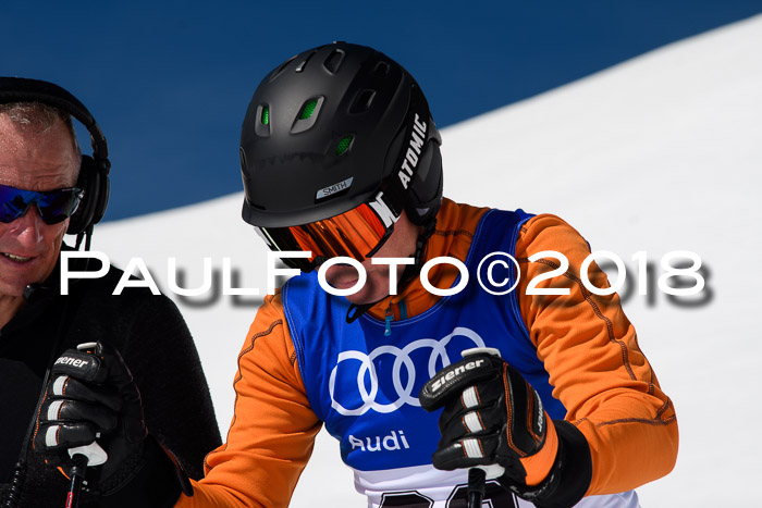 Ski Golf Masters 2018, Riesenslalom