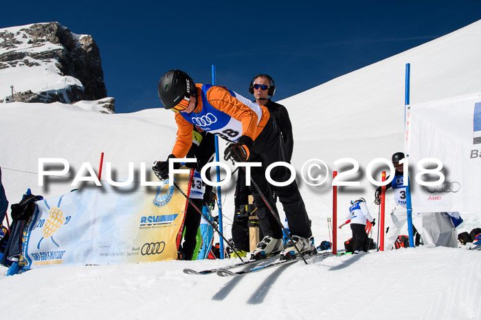 Ski Golf Masters 2018, Riesenslalom
