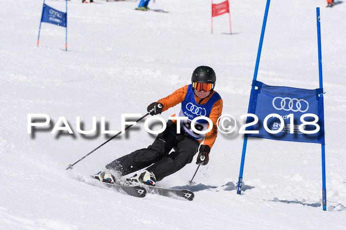 Ski Golf Masters 2018, Riesenslalom