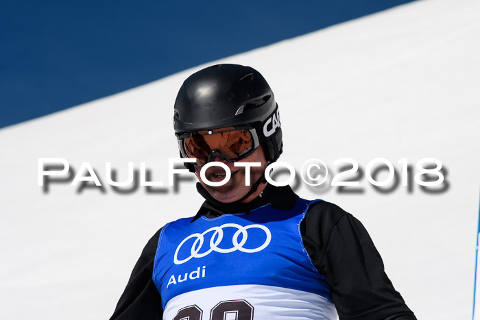 Ski Golf Masters 2018, Riesenslalom