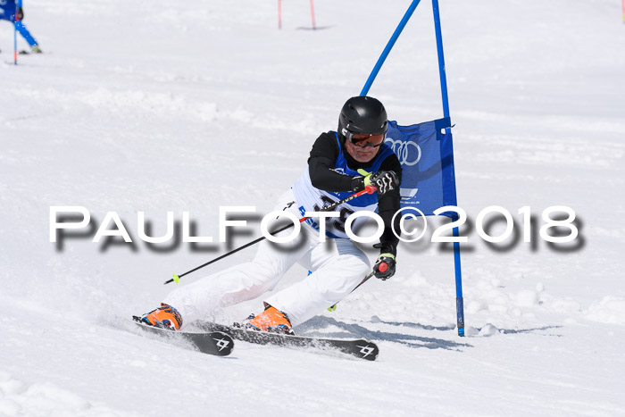 Ski Golf Masters 2018, Riesenslalom