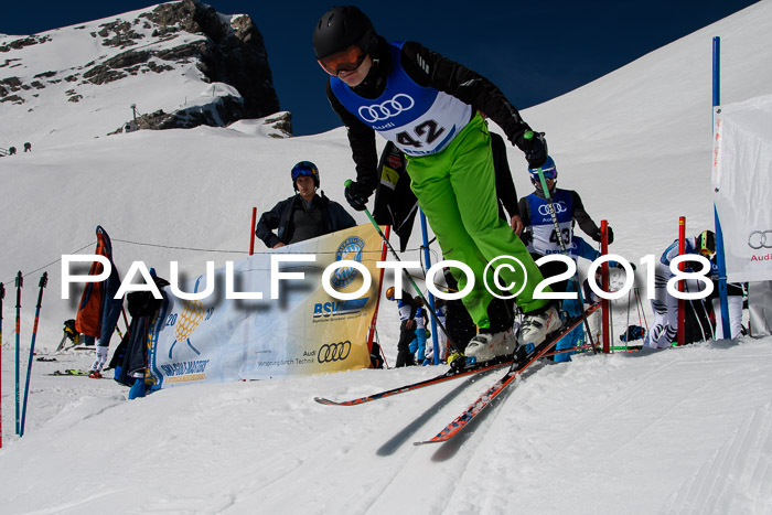 Ski Golf Masters 2018, Riesenslalom