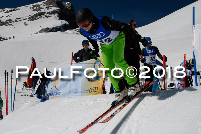 Ski Golf Masters 2018, Riesenslalom