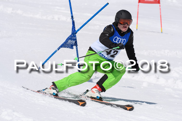 Ski Golf Masters 2018, Riesenslalom