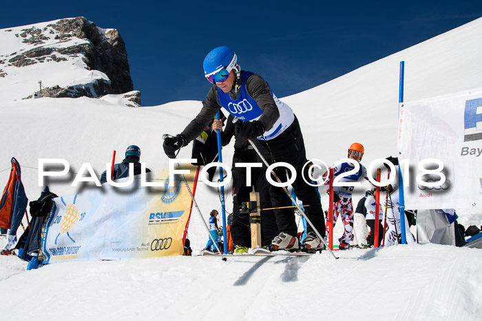 Ski Golf Masters 2018, Riesenslalom