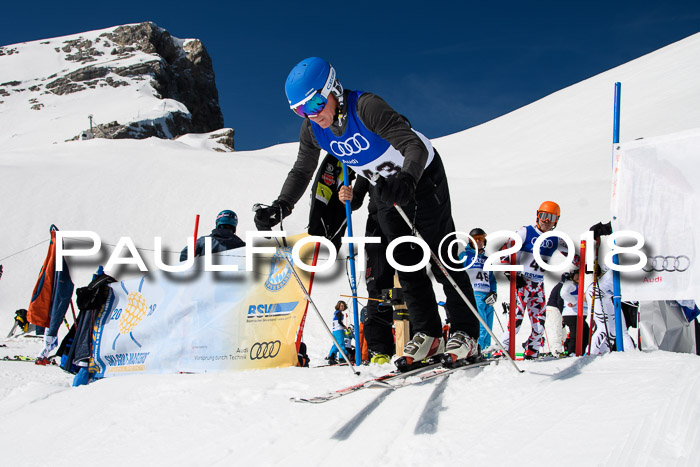 Ski Golf Masters 2018, Riesenslalom