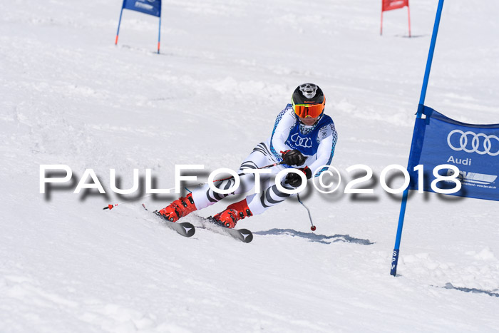 Ski Golf Masters 2018, Riesenslalom