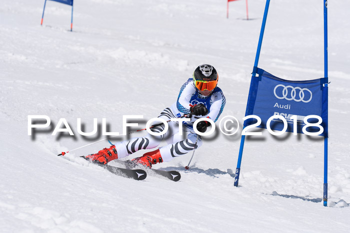 Ski Golf Masters 2018, Riesenslalom