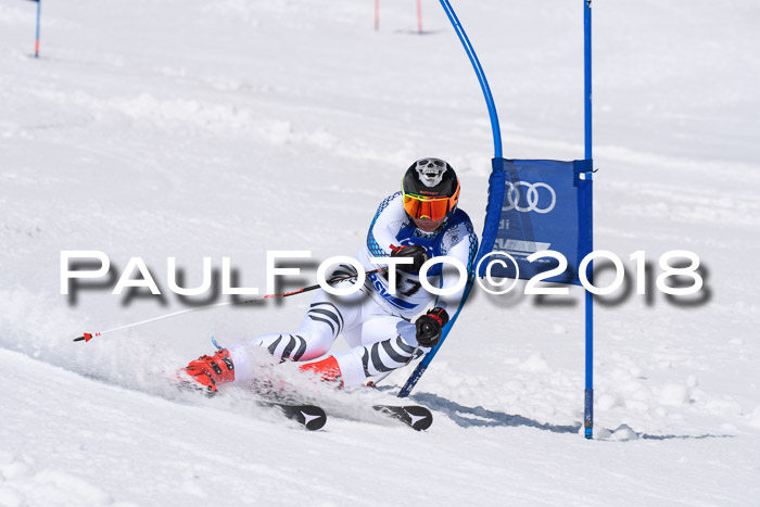 Ski Golf Masters 2018, Riesenslalom