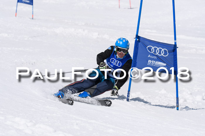 Ski Golf Masters 2018, Riesenslalom