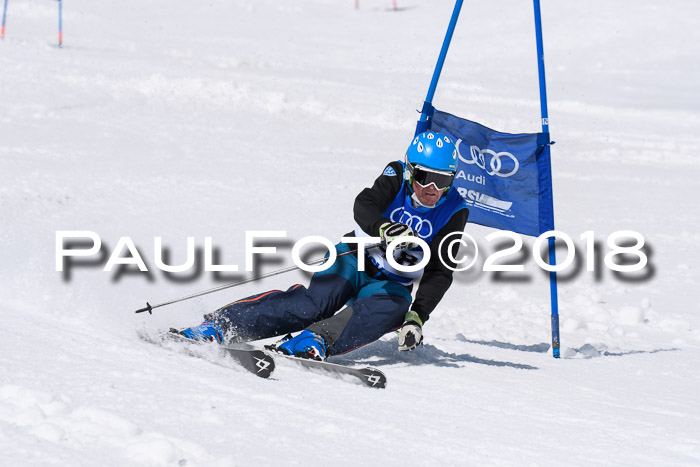 Ski Golf Masters 2018, Riesenslalom