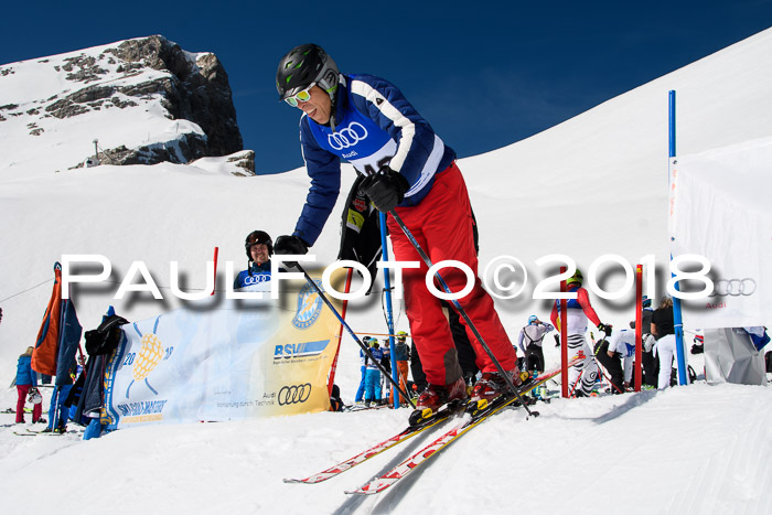 Ski Golf Masters 2018, Riesenslalom
