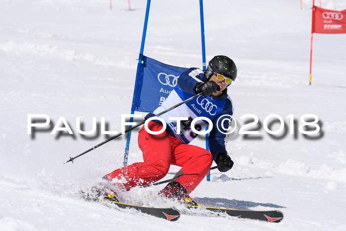 Ski Golf Masters 2018, Riesenslalom