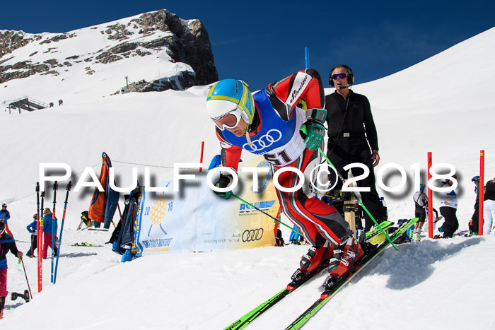 Ski Golf Masters 2018, Riesenslalom