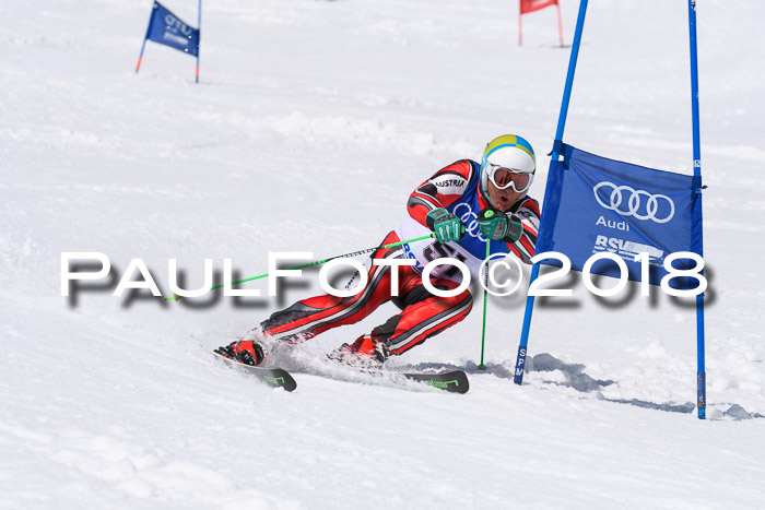 Ski Golf Masters 2018, Riesenslalom