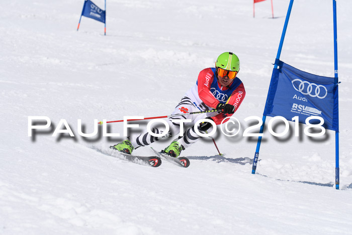 Ski Golf Masters 2018, Riesenslalom