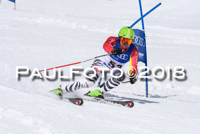 Ski Golf Masters 2018, Riesenslalom
