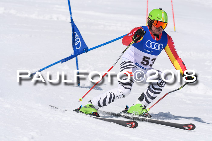Ski Golf Masters 2018, Riesenslalom