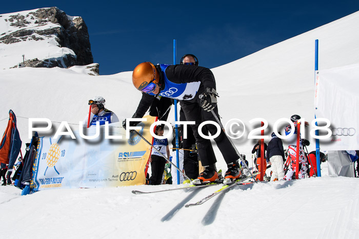 Ski Golf Masters 2018, Riesenslalom