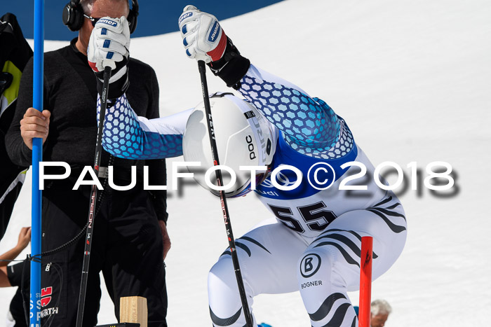 Ski Golf Masters 2018, Riesenslalom