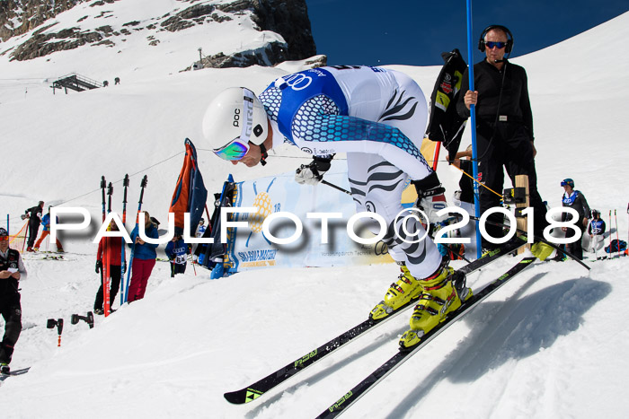 Ski Golf Masters 2018, Riesenslalom