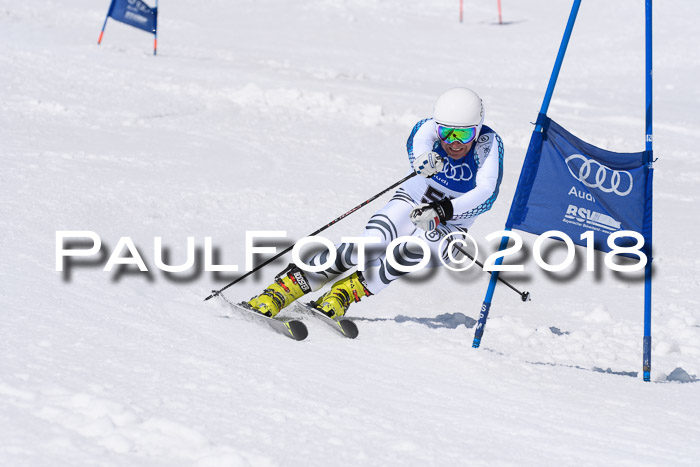 Ski Golf Masters 2018, Riesenslalom