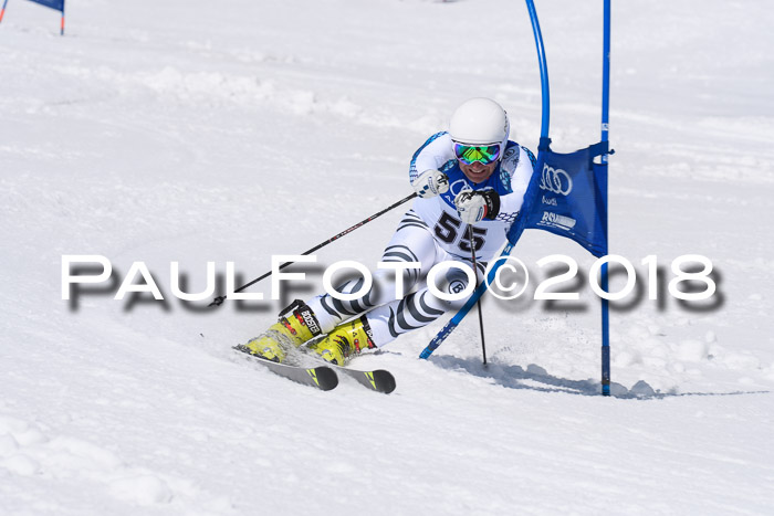 Ski Golf Masters 2018, Riesenslalom