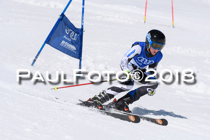 Ski Golf Masters 2018, Riesenslalom