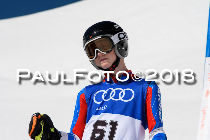 Ski Golf Masters 2018, Riesenslalom