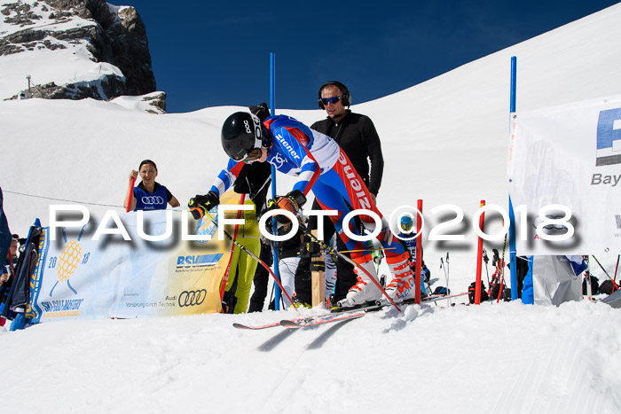 Ski Golf Masters 2018, Riesenslalom