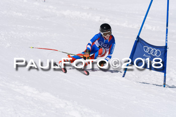 Ski Golf Masters 2018, Riesenslalom