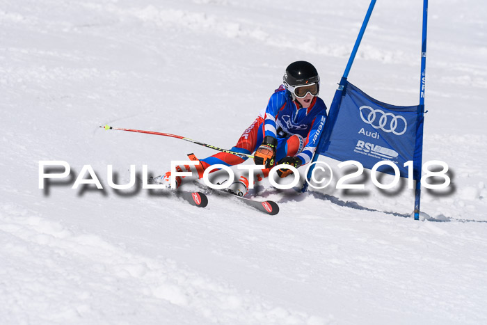 Ski Golf Masters 2018, Riesenslalom