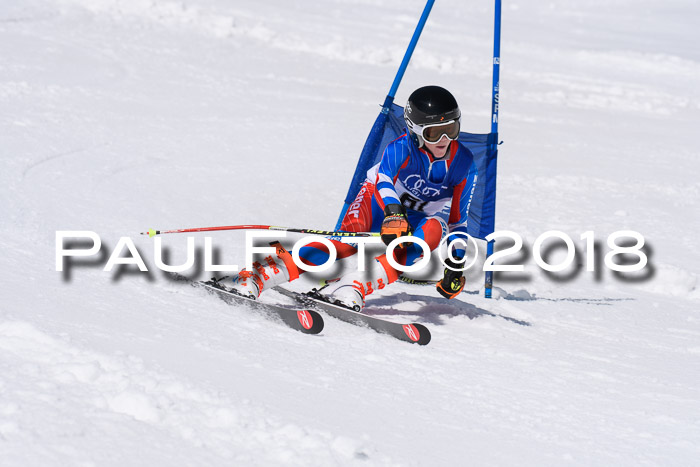 Ski Golf Masters 2018, Riesenslalom